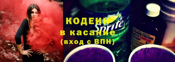 трава Белокуриха