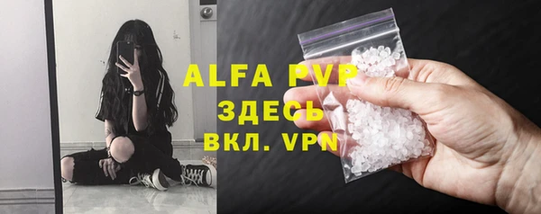 трава Белокуриха