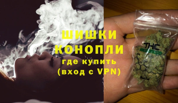 трава Белокуриха