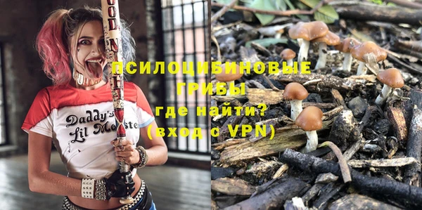 трава Белокуриха