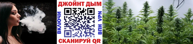 где купить наркоту  Городовиковск  кракен рабочий сайт  Конопля Amnesia 